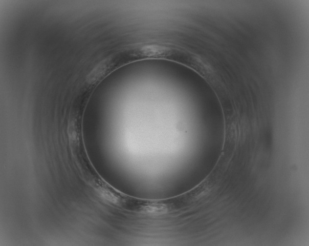 X0000051920317200506241516