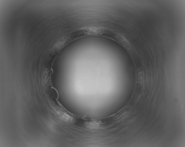 X0000051920318200506241516