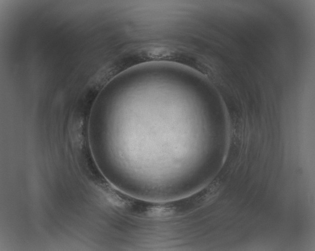 X0000051920319200506241516