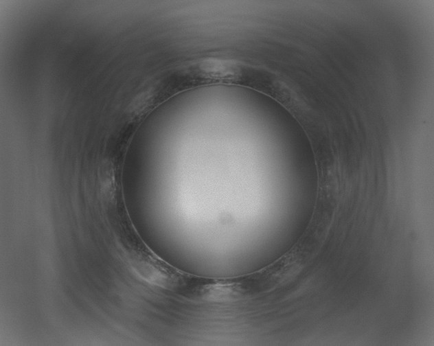 X0000051920320200506241516