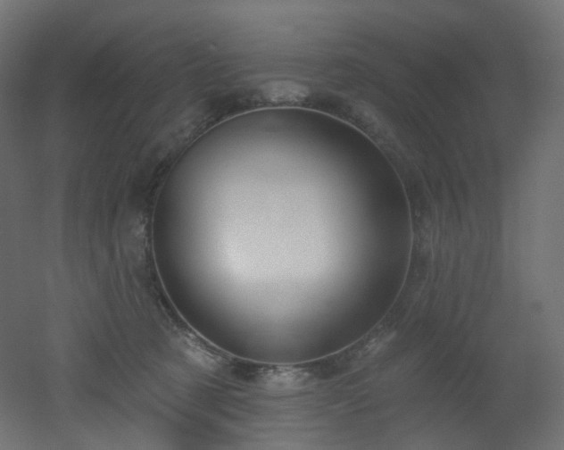 X0000051920321200506241516