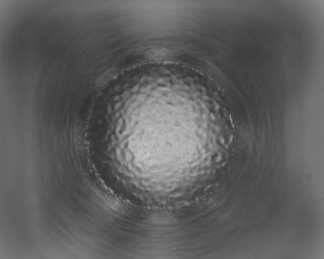 X0000051920322200506241516