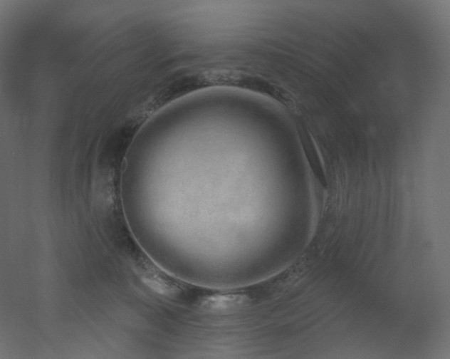 X0000051920323200506241515