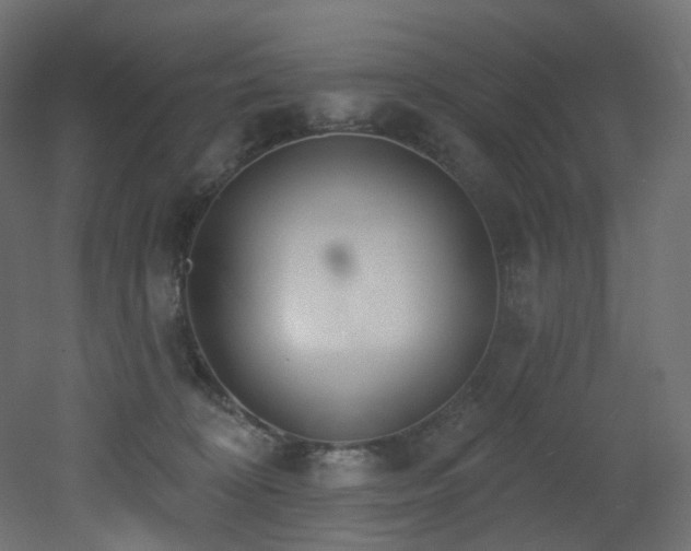 X0000051920324200506241515