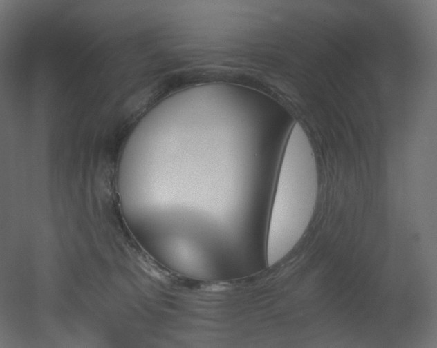 X0000051920325200506241515