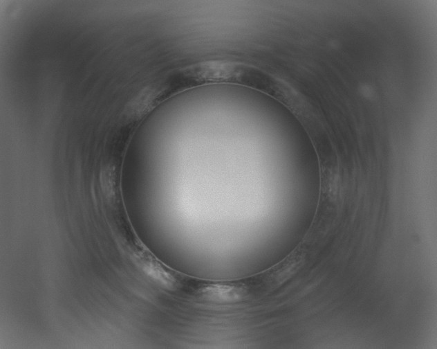 X0000051920326200506241515