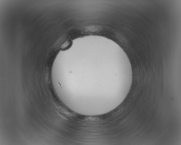 X0000051920328200506241515