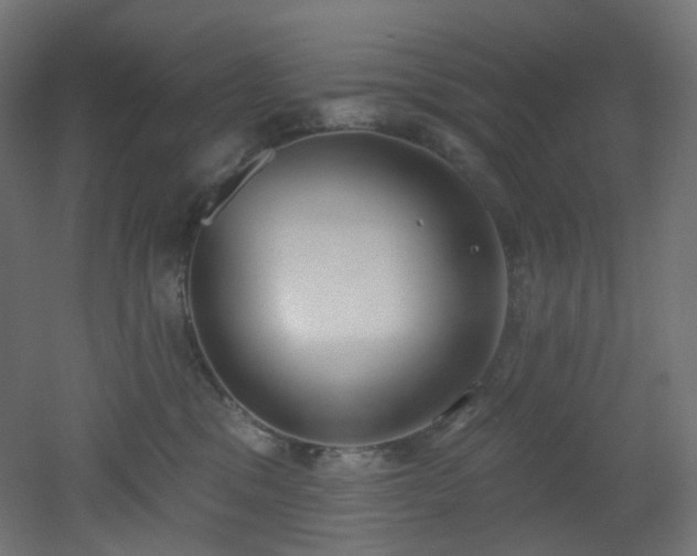 X0000051920329200506241515