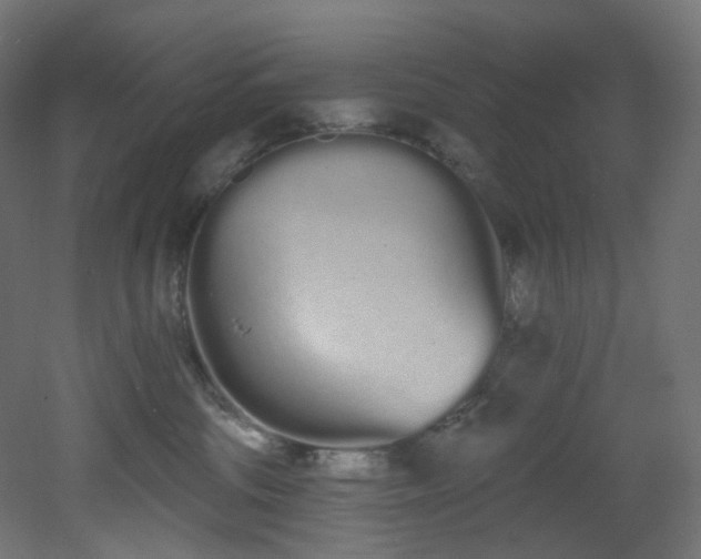 X0000051920330200506241515