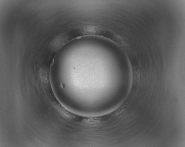 X0000051920331200506241515