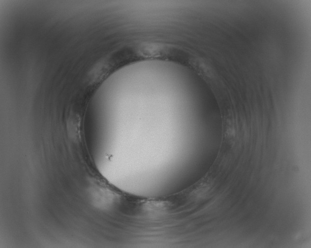 X0000051920332200506241515