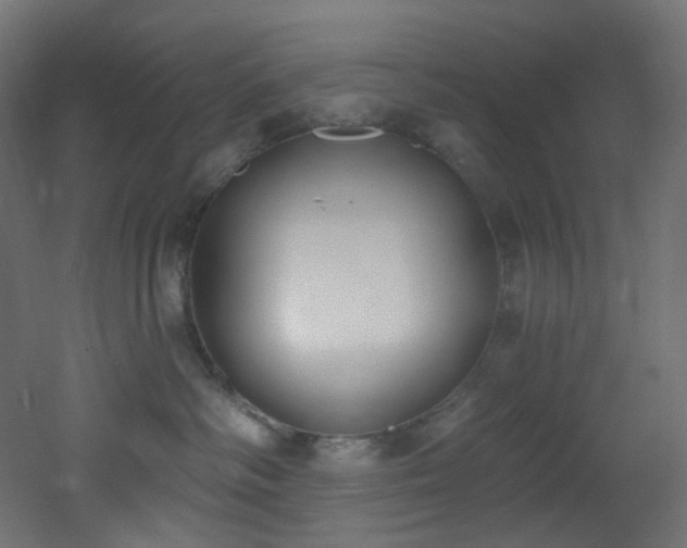 X0000051920334200506241515
