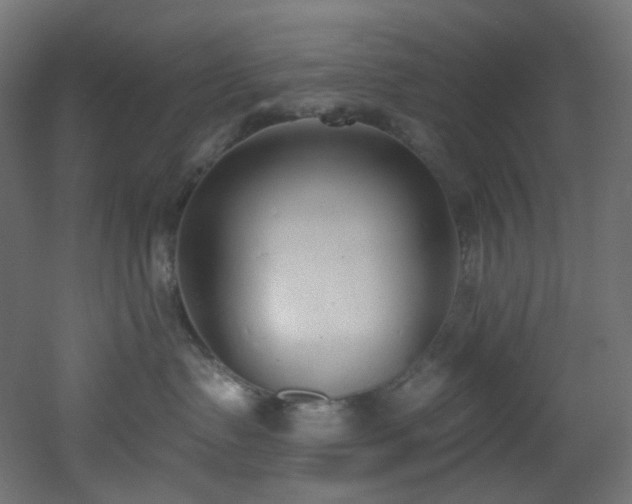 X0000051920335200506241515