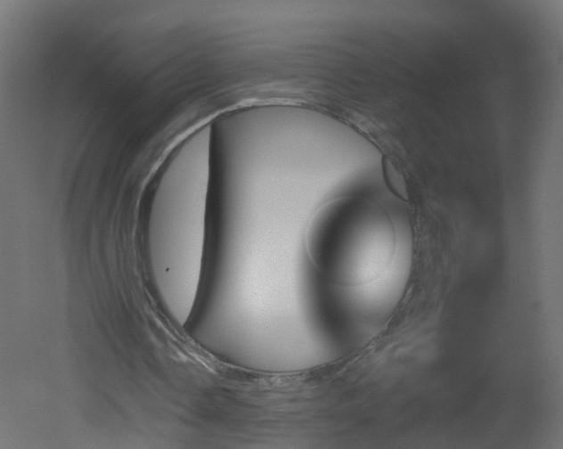 X0000051920338200506241514