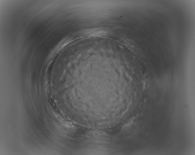 X0000051920339200506241514