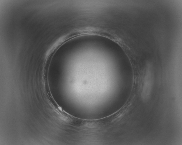 X0000051920341200506241515