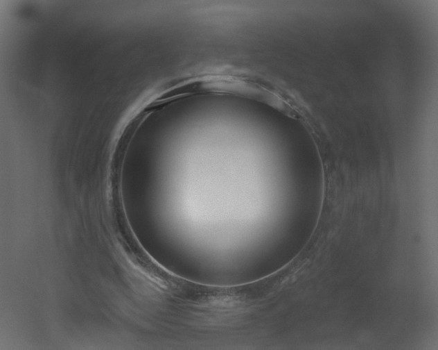 X0000051920344200506241515