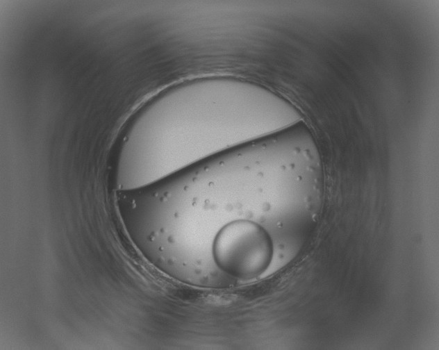 X0000051920346200506241515