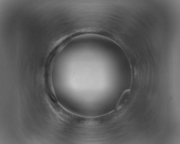 X0000051920348200506241515