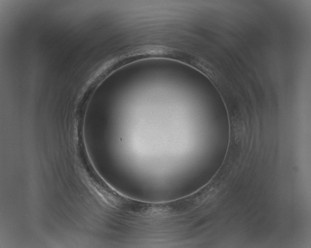 X0000051920350200506241515