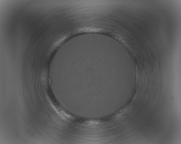 X0000051920352200506241515