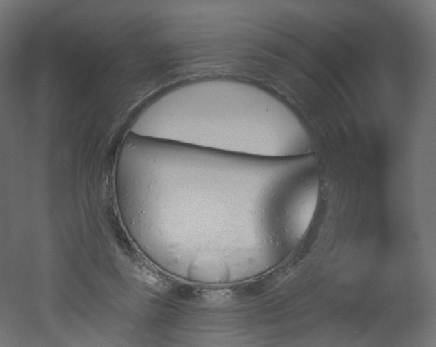 X0000051920355200506241515
