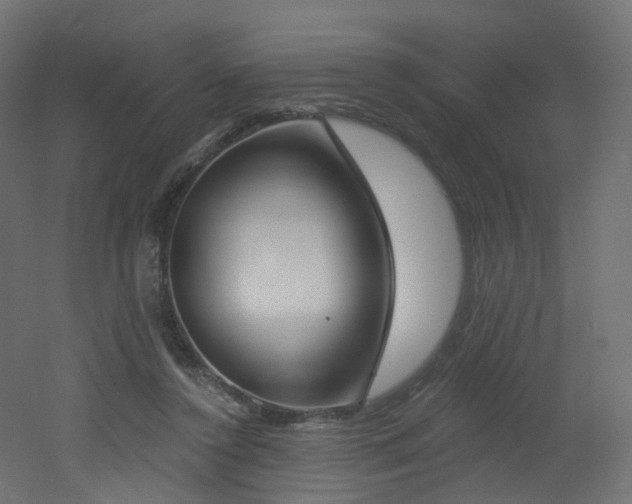 X0000051920356200506241515
