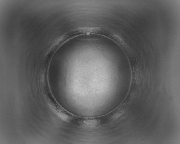 X0000051920357200506241515