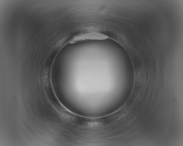 X0000051920360200506241515