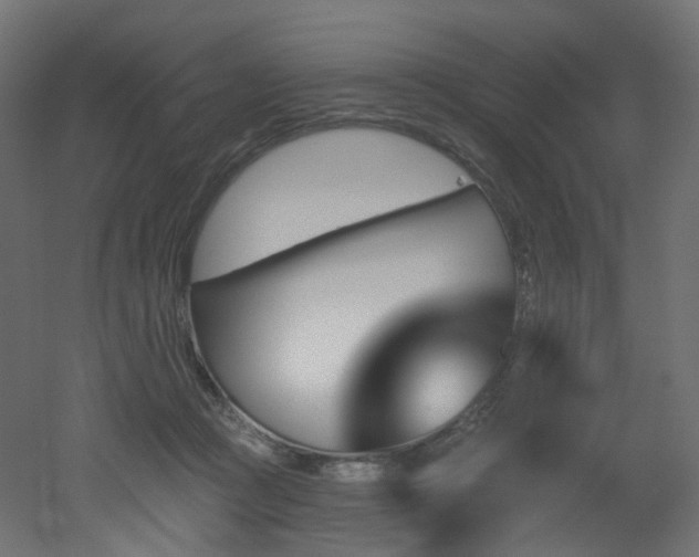 X0000051920361200506241515