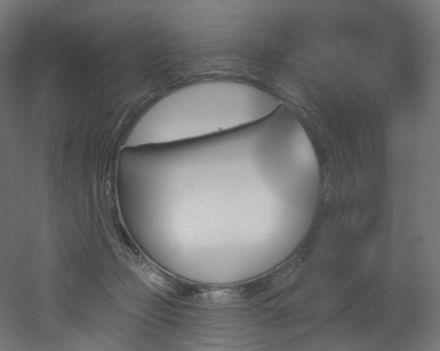 X0000051920365200506241515