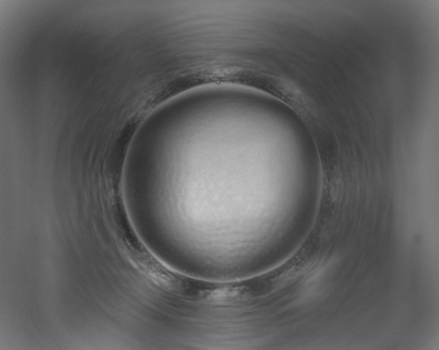X0000051920366200506241515