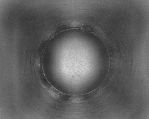 X0000051920368200506241515