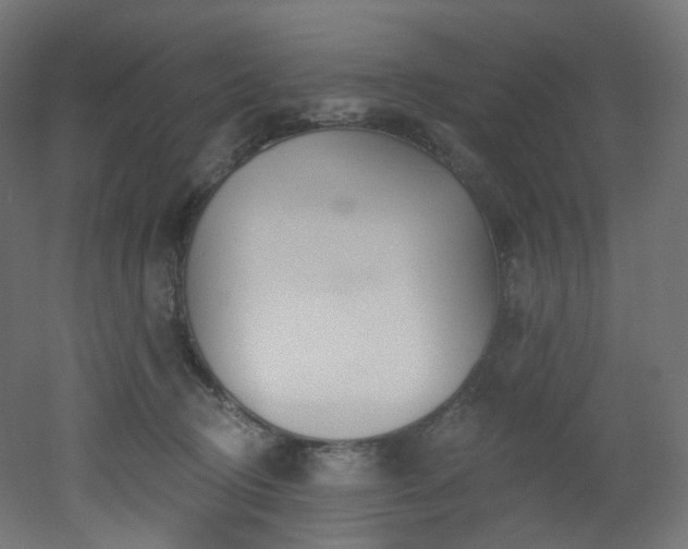 X0000051920370200506241515