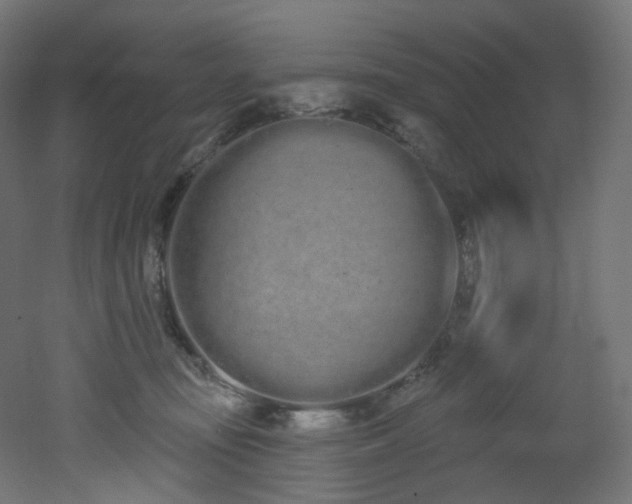 X0000051920371200506241515