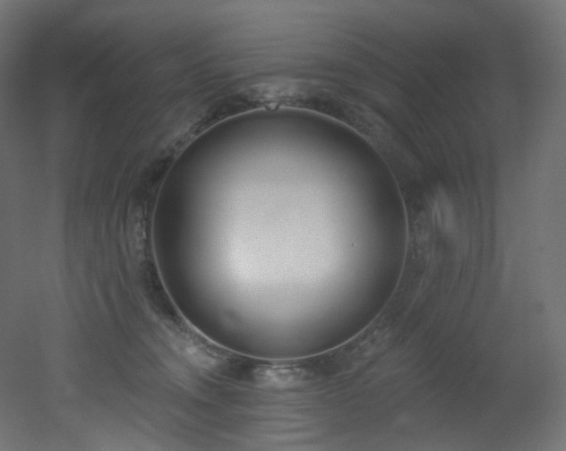 X0000051920372200506241515