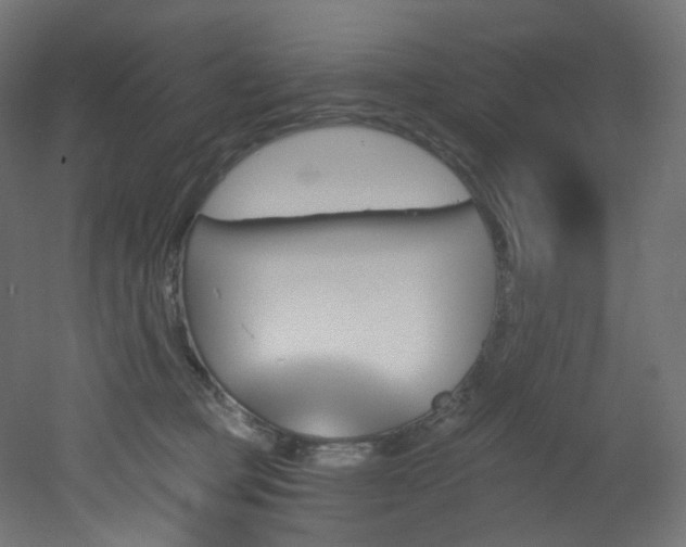 X0000051920373200506241515