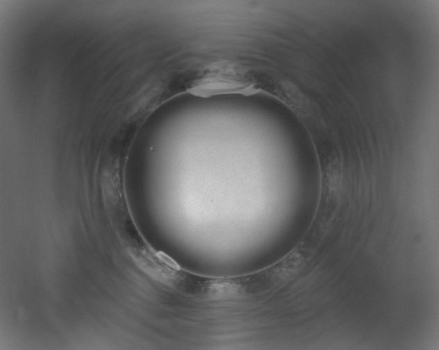 X0000051920376200506241515