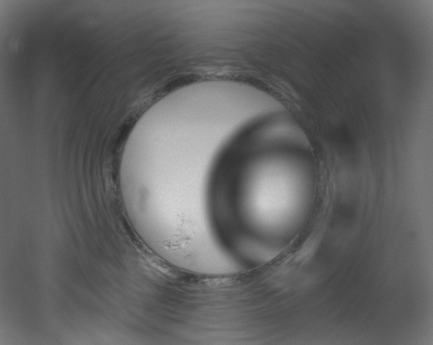X0000051920377200506241515