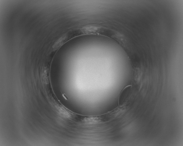X0000051920378200506241515
