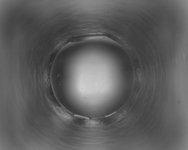 X0000051920380200506241515