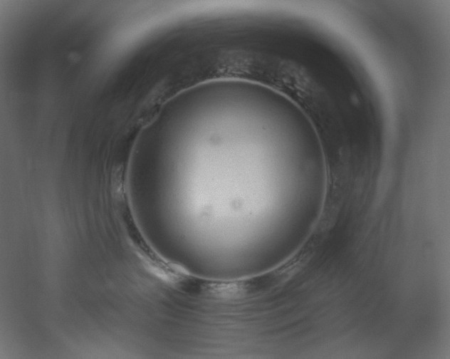 X0000051920383200506241515