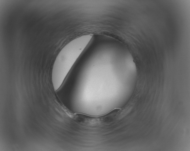 X0000051920384200506241515