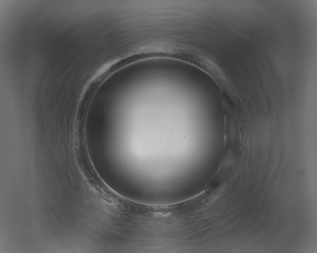 X0000051920388200506241514