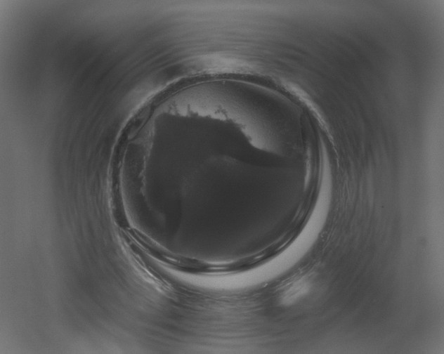 X0000051920391200506241514