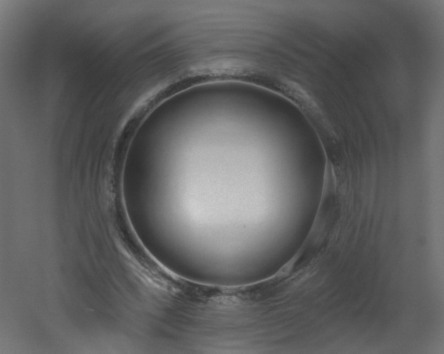 X0000051920392200506241514