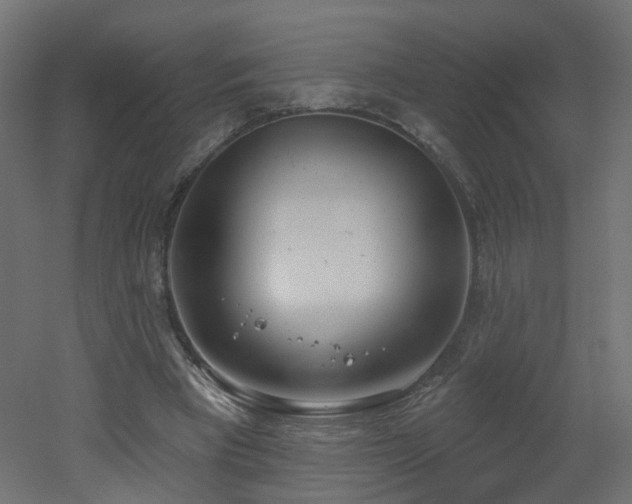 X0000051920393200506241514