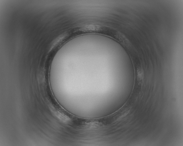 X0000051920396200506241514