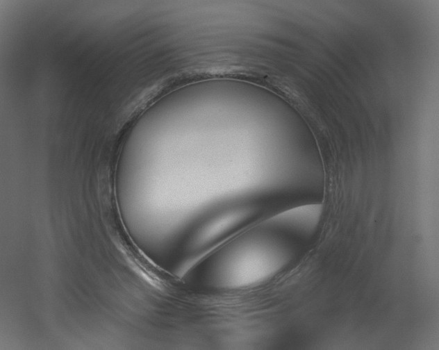 X0000051920397200506241514