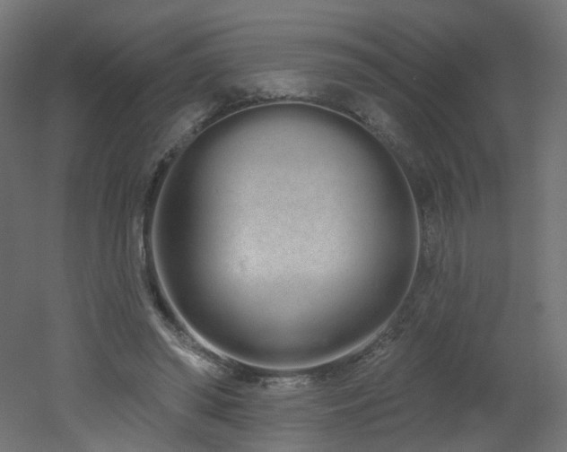 X0000051920398200506241514